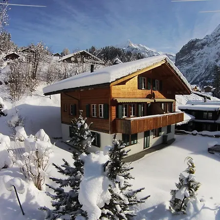 Delightful 4star Kiwi