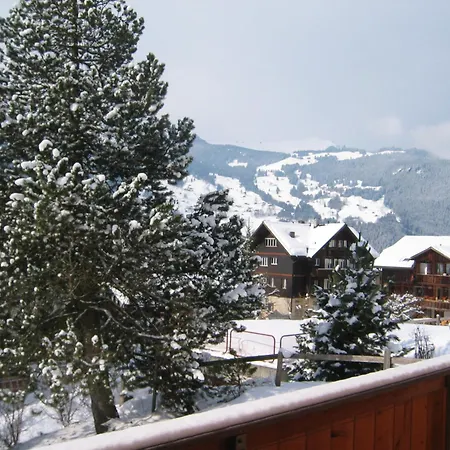 Apartment Delightful 4star Kiwi Grindelwald
