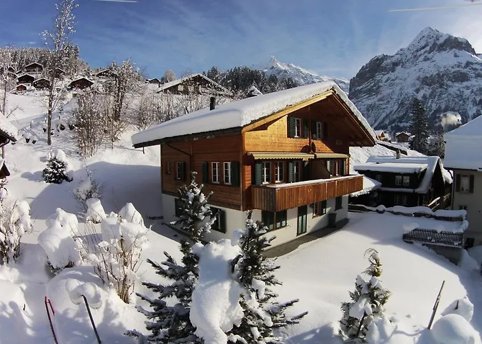 Delightful 4star Kiwi