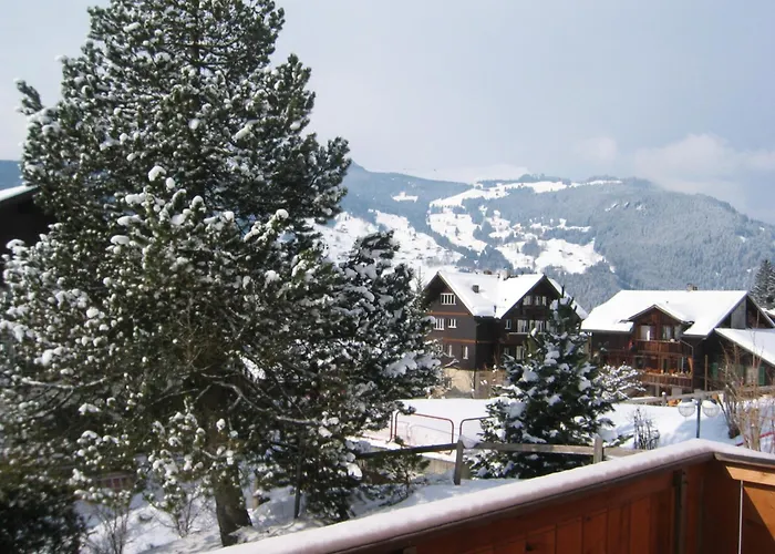 Lejlighed Delightful 4star Kiwi Grindelwald